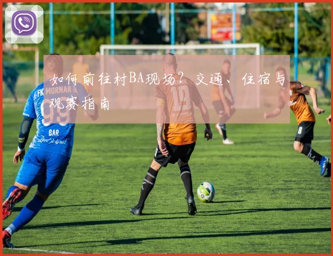 如何前往村BA现场?交通、住宿与观赛指南